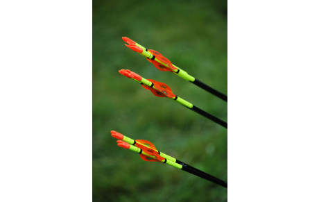 Quelques dates à venir