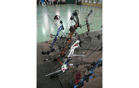 Synthèse des résultats en concours salle